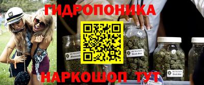 прущие крисы Лесосибирск