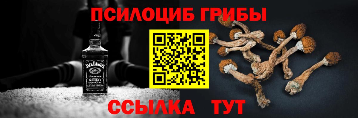 Казань  Псилоцибиновые грибы GOLDEN TEACHER  Вход с VPN 